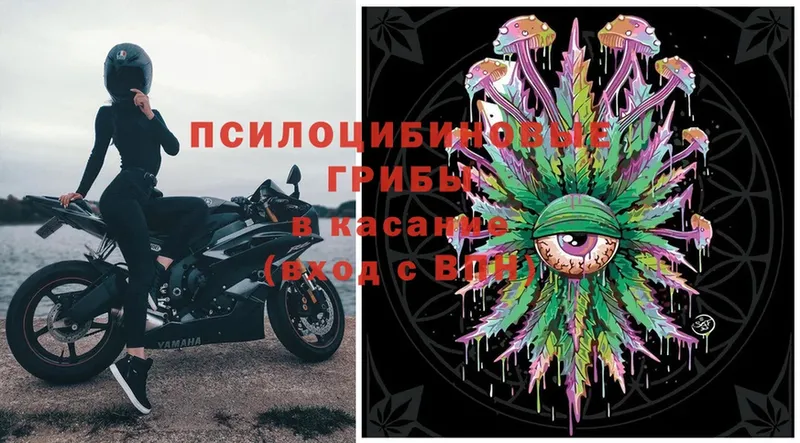 Галлюциногенные грибы MAGIC MUSHROOMS  Кисловодск 